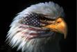 There is no easy road to freedom.