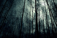 Blackwater