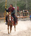 Renaissance Festival!