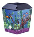 Fish Tank--A Poem by me