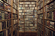 My Bookshop Lover