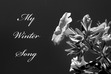 My Winter Song