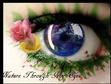 Nature Through My Eyes