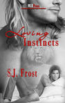 gay erotic stories