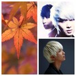 AUTUMN SONATA