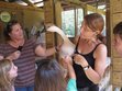 Tails from Golden Rainbow Ranch