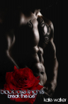 Break The Ice (BLACK ROSE KNIGHTS #1)