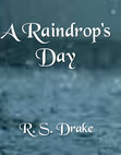 A Raindrop's Day