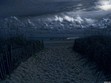 The Shore