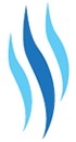 Carpeet Cleaning Services