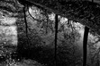 Ice and Darkness