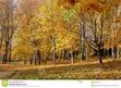 October Song For Socrates