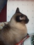 jenny