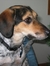 Jill