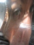 Eve