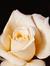 Uya_m...z
