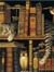Bookwormdragon