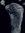 tenderfoot's icon