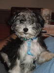 Tony