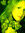 Meesh