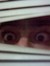 Jake