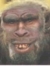 Jard