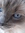 littlemiao