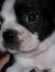 Amy