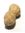 Peanut | 149 comments