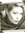 Cornelia