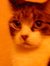 Tabatha