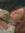 Bita | 54 comments