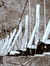 Georgia