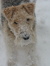Leah
