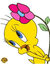 Tweety Bird