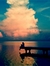 Silent.recluse