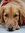 Annie | 1 comments
