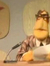Kevin