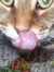 Amy