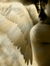 Angelleesa