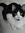 Clara | 15 comments