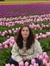 Susan nemitz