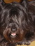 loretta