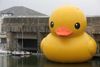 theduckthief