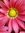 Christina (AKA Babbling) (BabblingBookReviews) | 28 comments