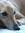 Fiona (FionaM) | 12 comments