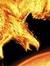 Burning Phoenix63