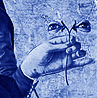 A.
