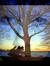 Ann Nordquist
