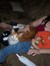 Dawna